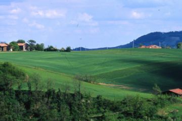 “Colline di San Luca”, nasce una nuova area protetta da 5mila ettari