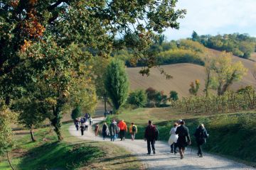 Itinerario alla scoperta del gusto e del territorio - Una rete di Pro Loco nella Provincia orientale di Bologna